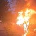 Tragedie pe șosea! Două persoane au murit după ce mașina a lovit un cap de pod și a luat foc