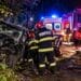 Accident mortal pe un drum forestier! Un bărbat a murit, șoferul a ajuns la spital