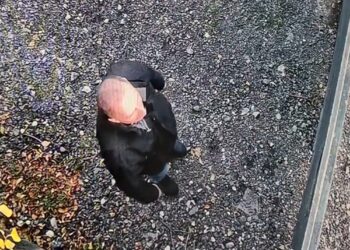 Cruzime revoltătoare! Doi pui de câine, aruncați peste un gard de doi metri. Animalele au fost rănite