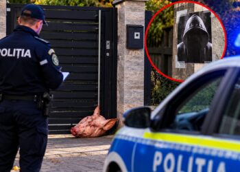 Descoperire șocantă la poarta unei case! Un bărbat a găsit un cap de porc și un afiș amenințător