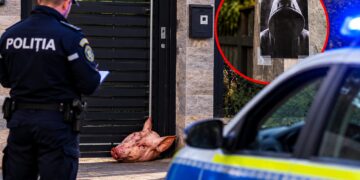 Descoperire șocantă la poarta unei case! Un bărbat a găsit un cap de porc și un afiș amenințător