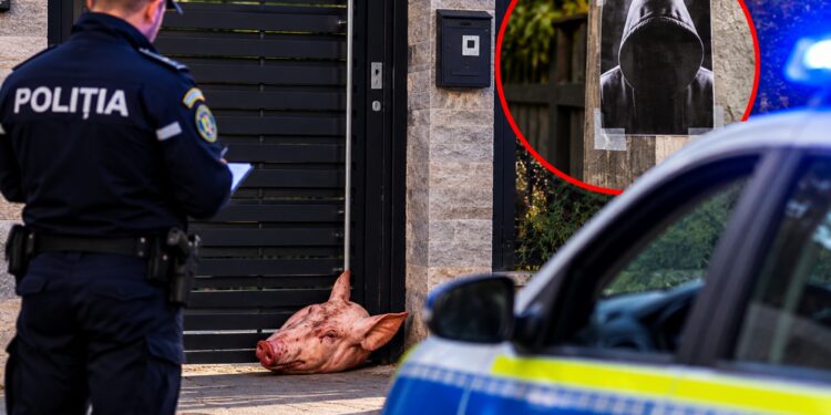 Descoperire șocantă la poarta unei case! Un bărbat a găsit un cap de porc și un afiș amenințător