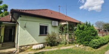Case cu grădină la preț de chilipir! O locuință costă doar 11.650 de lei