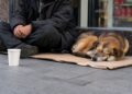 Scandal! Cerșetor suspectat că sedează și ucide câini pentru a obține bani. Se pregătește un protest