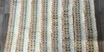 Rețea de contrabandă destructurată de DIICOT. 64 de percheziții, droguri, sute de mii de lei și țigări confiscate