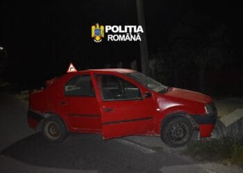 Urmărire ca-n filme! Trei bărbați suspectați de braconaj au fugit de polițiști și au ajuns cu mașina într-un podeț